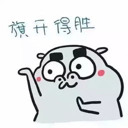真的来了