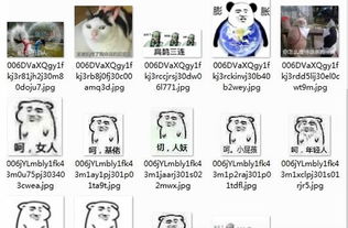 扁鹊三连治不了等死吧告辞qq表情扁鹊三连治不了等死吧告辞表情包下载