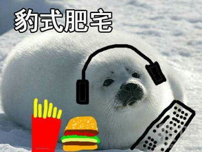 青海春天600381