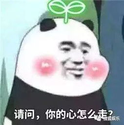 娱乐日报蒋劲夫新女友身材火辣李治廷恋情曝光马蓉吐槽王宝强新女友