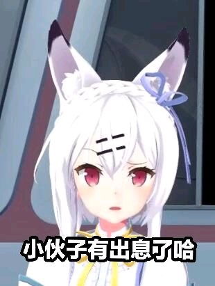 神宫司玉藻表情包
