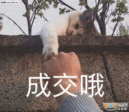 你看了个寂寞图片你看我这样子像有钱吗表情包下载乐游网游戏下载