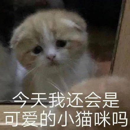表情包心虚离开拿图点赞吱声