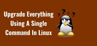 如何在linux中使用一个命令升级所有软件