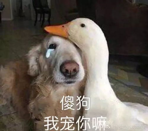 9冷空气杀到福州冬季台风买一送一接下来的天气将......