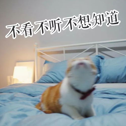 你什么时候最想时光倒流好好学英语