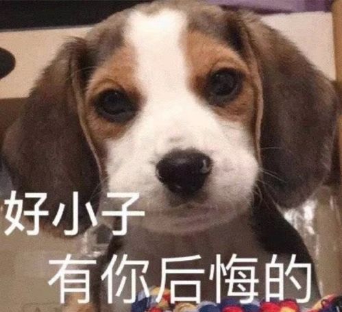 6000元㎡和18000元㎡,2021年成都购房图鉴,坚持还是放弃