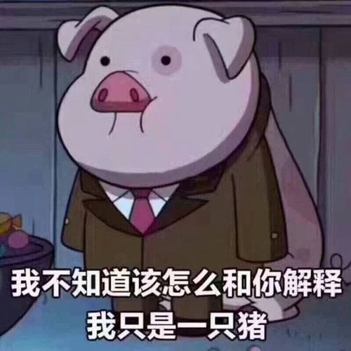 对不起酱牛肉翻车了