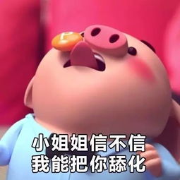 海量表情包仓库持续更新中
