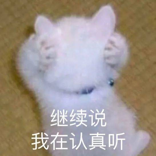 憨喵表情包完了芭比q了