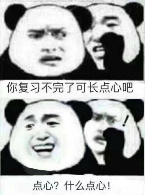 能给予考场人一点慰藉的表情包