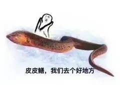 黄鳝表情包无水印黄鳝