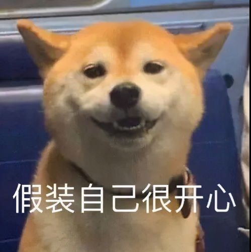 定了2021还有这些假期要放会计考试时间一览