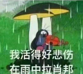 伤感表情包悲伤