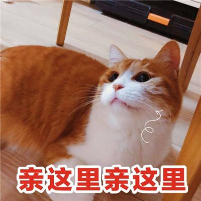 小哥哥,聊天吗表情包