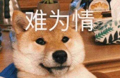 每日一笑哦,看他头像是黑的,还以为他不在