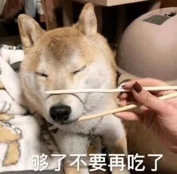 会长韶韶一黑人全马刚跑完就被人一把拦下