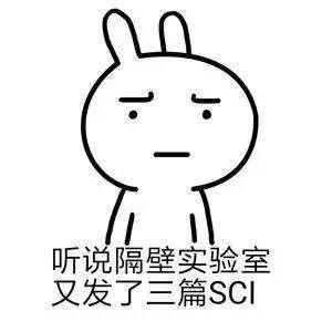 博士生活科研人必备斗图表情包,速收
