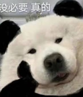 e句话看天下大熊猫也会反向投喂饲养员,萌融化了