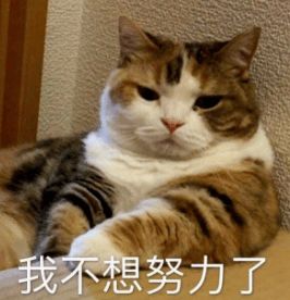有人收购闲置宝贝吗
