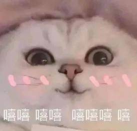 史诗级塌房根正苗红的当红鲜肉恋上油腻男谁家房子塌到马里亚纳海沟了