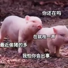 doge动图沙雕表情包,小黄狗趣图表情,有点意思