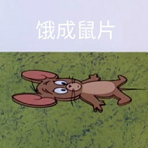 猫和老鼠表情包第二弹每一张都是经典款,快发给你的朋友吧