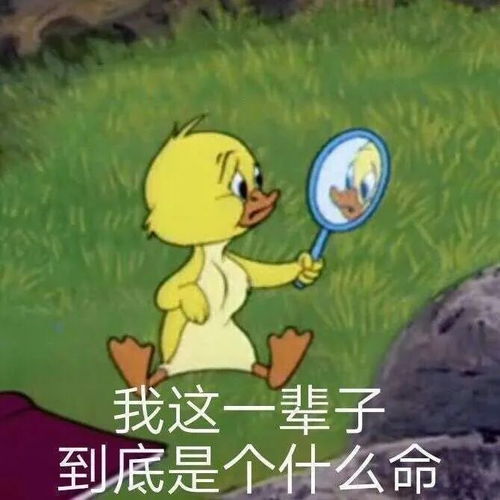 阳了表情包发朋友圈
