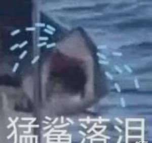 好可惜啊那些曾惊鸿一瞥偷走大家的心之后,默默的长残了的明星