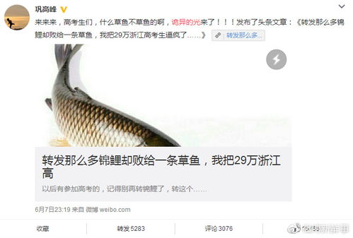 诡异的光是什么梗详解来了