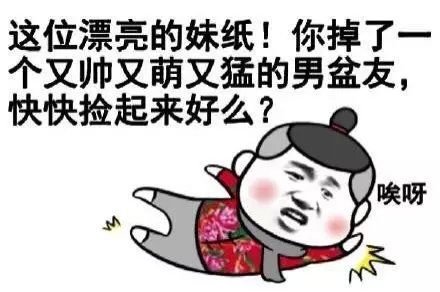 堆糖,美好生活研究所