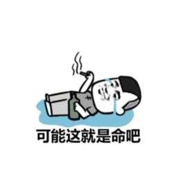 可能这就是命吧图片表情这个大图