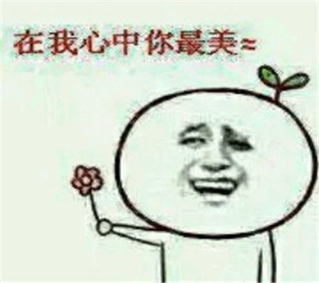 表情包送你一朵滑稽你敢拒绝试试看