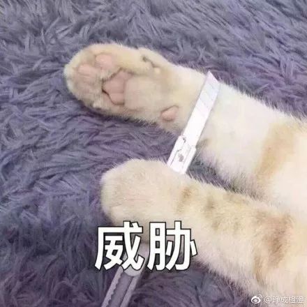 激动人心的时刻来了,微信终于可以修改id了微信号中还有前男友名字的快来改吧
