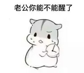 有没有跟对象聊天的表情包