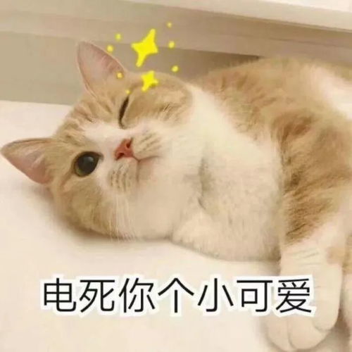 你表情包这么少,还有勇气网上冲浪