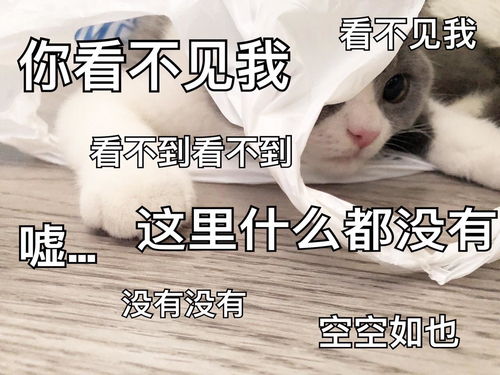 幽默笑话第一次去女友家见家长一见面她爸就叫我去阳台聊聊