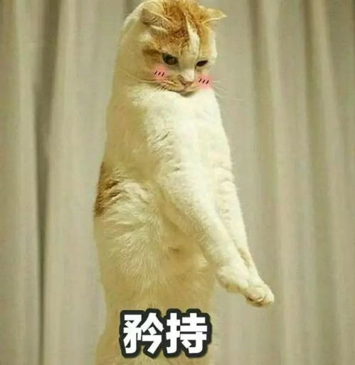 刚恋爱的女人真虚伪