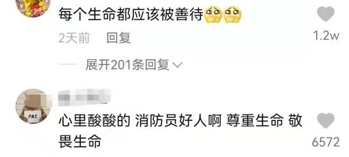 生命之吻他人工呼吸拯救昏迷小猫,消防员也很暖
