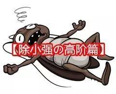 蚂蚁怕酸蟑螂怕香这些驱虫小技巧通通都要知道