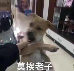 轻松一刻520要到了,但和你有关系吗