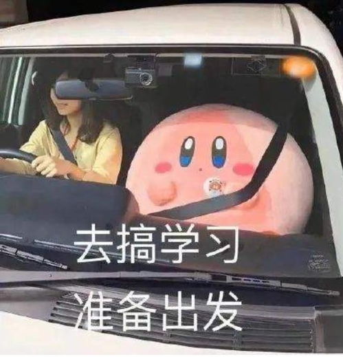 绅宝图片表情包扭曲