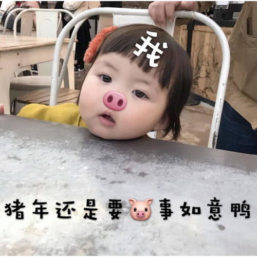 罗熙表情包新的一年我们要好好相处哦