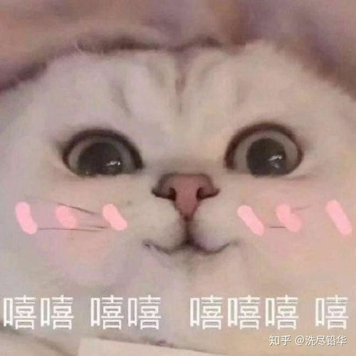 能以小姐暗卫管家的设定写篇甜文甜文甜文嘛
