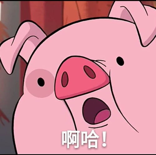 抱抱我的猪表情包男