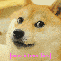 满满精神污染的doge表情包,本体是只软妹柴