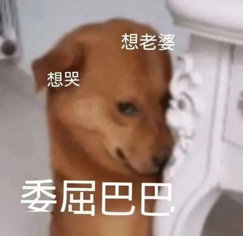 抖音最新套路表情包