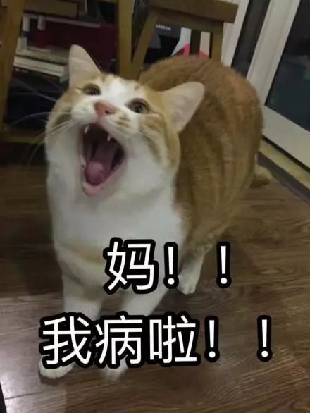 怼人怼得好,过年没烦恼