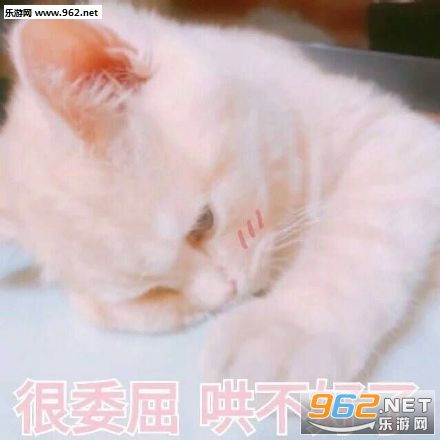 我抓到你了小猪图片小委屈我能忍表情包下载乐游网游戏下载