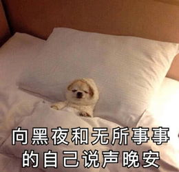 超皮的聊天表情你讲话好冷漠,好像我不曾让你开心过一样